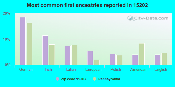 Most common first ancestries reported in 15202