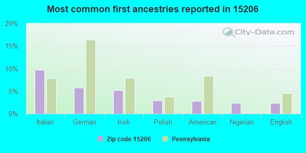 Most common first ancestries reported in 15206