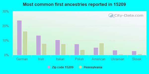 Most common first ancestries reported in 15209