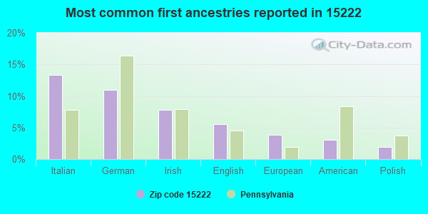 Most common first ancestries reported in 15222