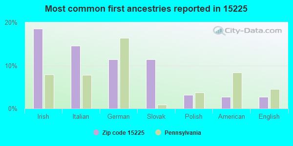 Most common first ancestries reported in 15225