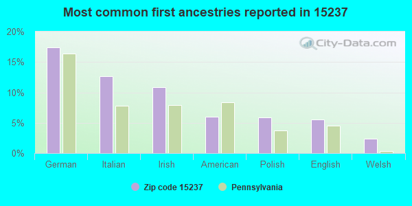 Most common first ancestries reported in 15237