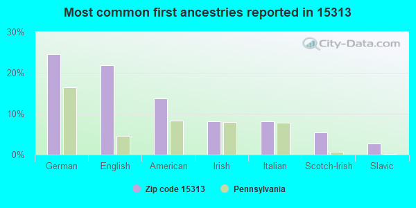 Most common first ancestries reported in 15313