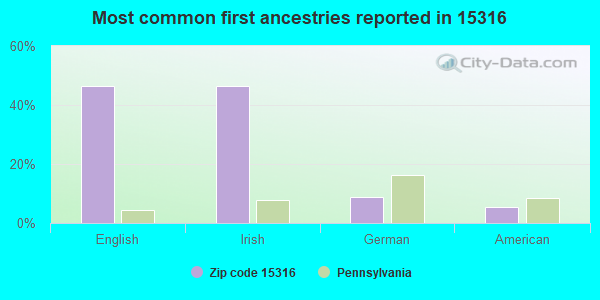 Most common first ancestries reported in 15316