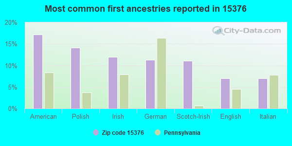 Most common first ancestries reported in 15376