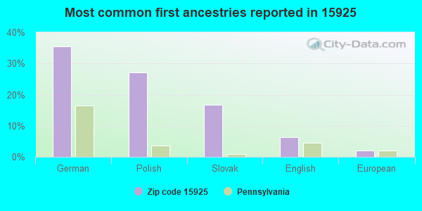 Most common first ancestries reported in 15925