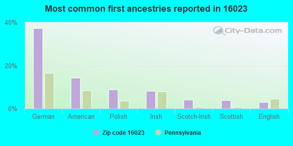 Most common first ancestries reported in 16023