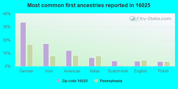 Most common first ancestries reported in 16025