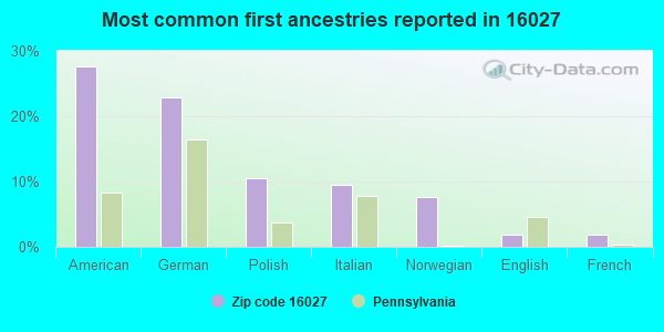 Most common first ancestries reported in 16027