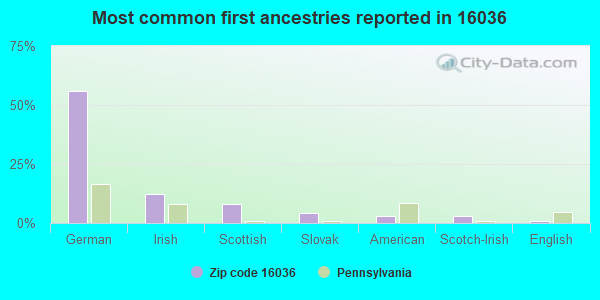 Most common first ancestries reported in 16036