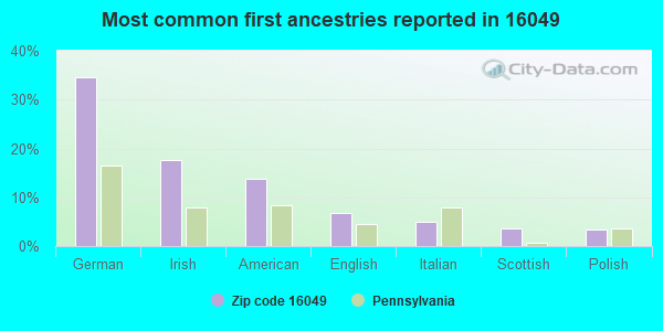 Most common first ancestries reported in 16049