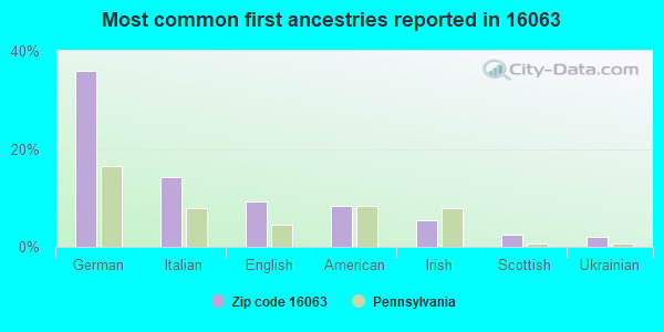 Most common first ancestries reported in 16063