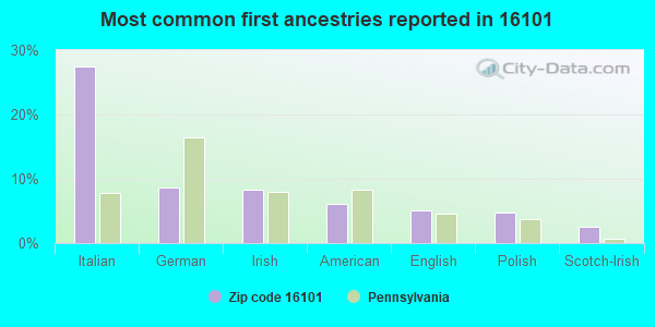 Most common first ancestries reported in 16101