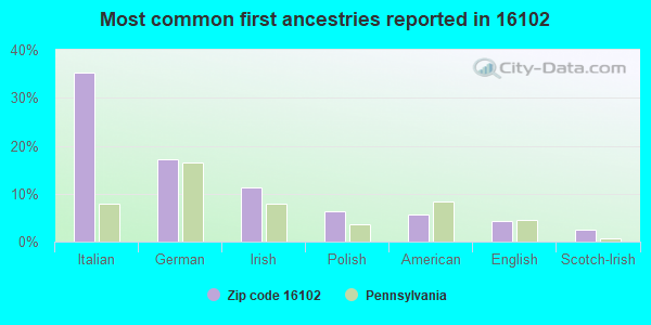 Most common first ancestries reported in 16102