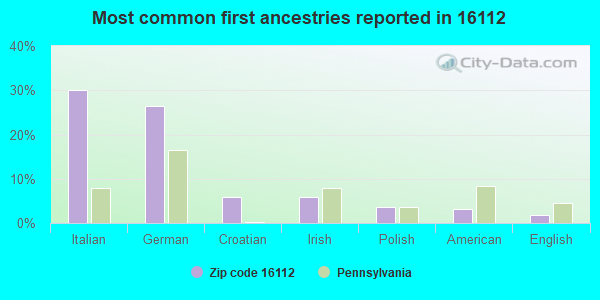 Most common first ancestries reported in 16112