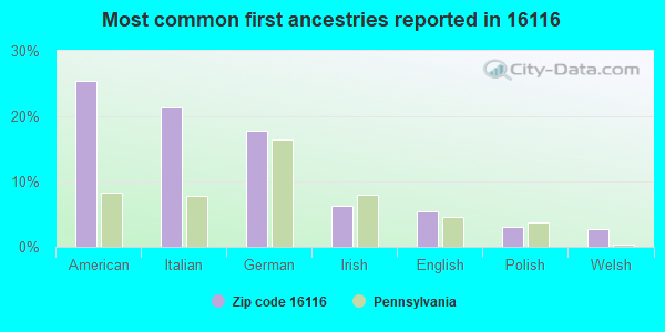 Most common first ancestries reported in 16116