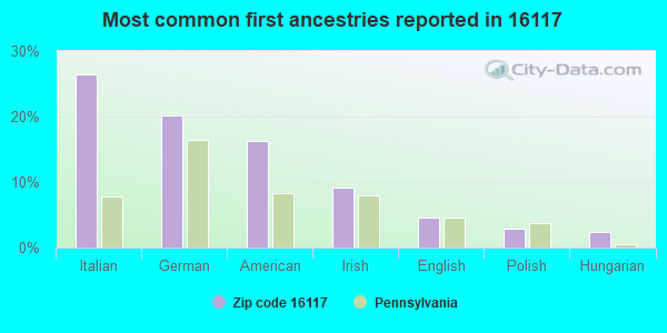 Most common first ancestries reported in 16117