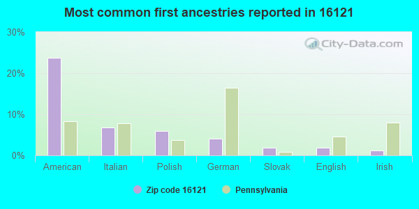 Most common first ancestries reported in 16121
