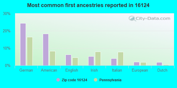 Most common first ancestries reported in 16124