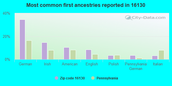 Most common first ancestries reported in 16130