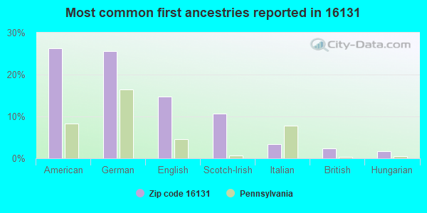 Most common first ancestries reported in 16131