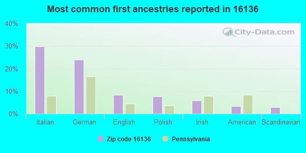 Most common first ancestries reported in 16136