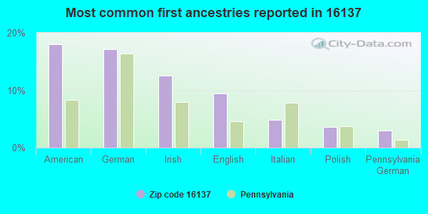 Most common first ancestries reported in 16137