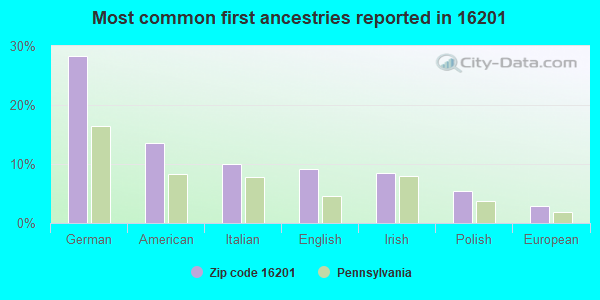 Most common first ancestries reported in 16201