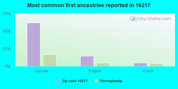 Most common first ancestries reported in 16217