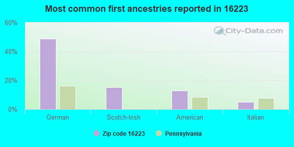 Most common first ancestries reported in 16223
