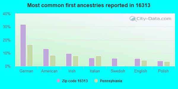 Most common first ancestries reported in 16313