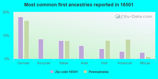 Most common first ancestries reported in 16501