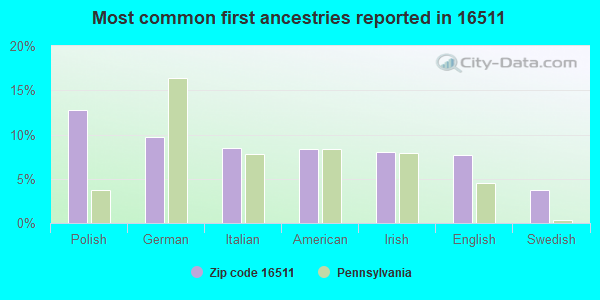 Most common first ancestries reported in 16511