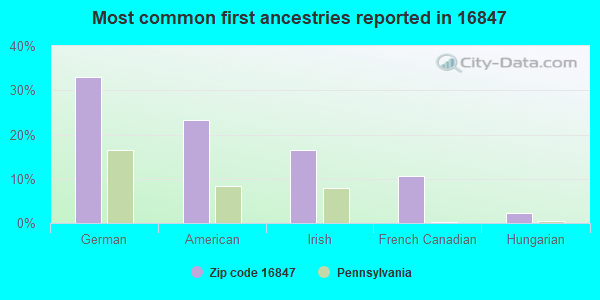 Most common first ancestries reported in 16847