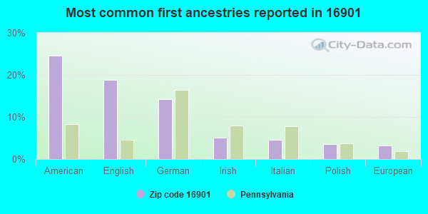 Most common first ancestries reported in 16901