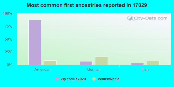 Most common first ancestries reported in 17029