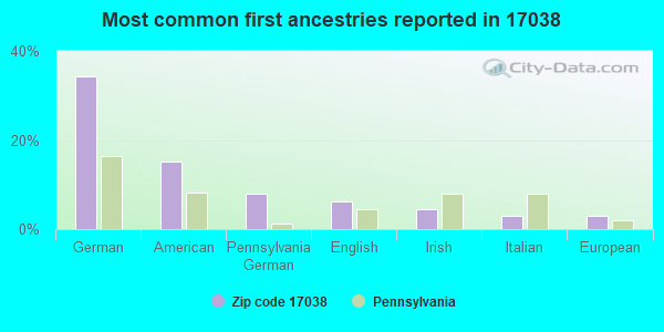 Most common first ancestries reported in 17038