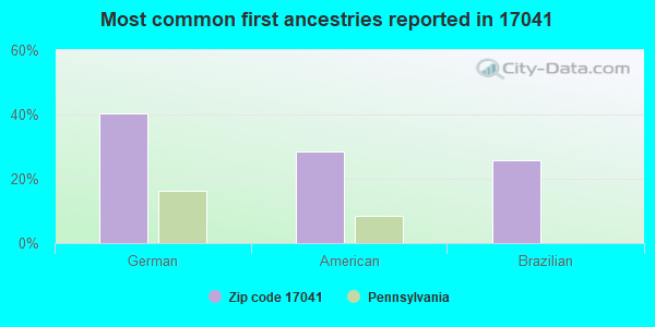 Most common first ancestries reported in 17041