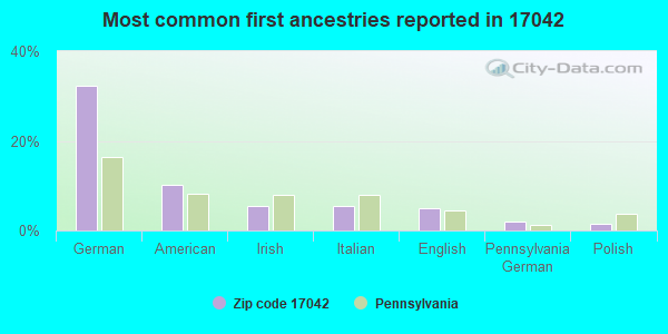 Most common first ancestries reported in 17042