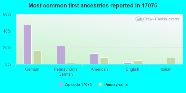 Most common first ancestries reported in 17075
