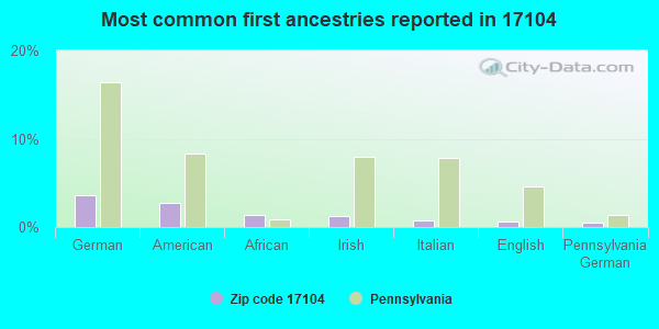 Most common first ancestries reported in 17104