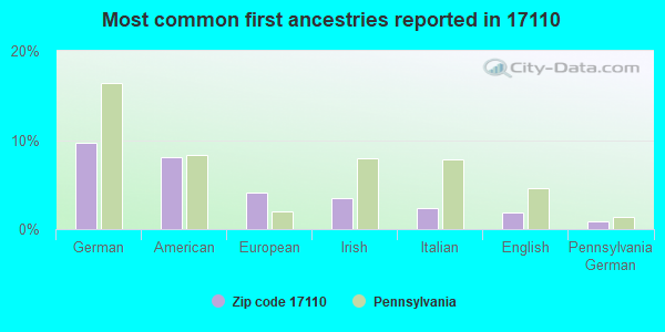 Most common first ancestries reported in 17110
