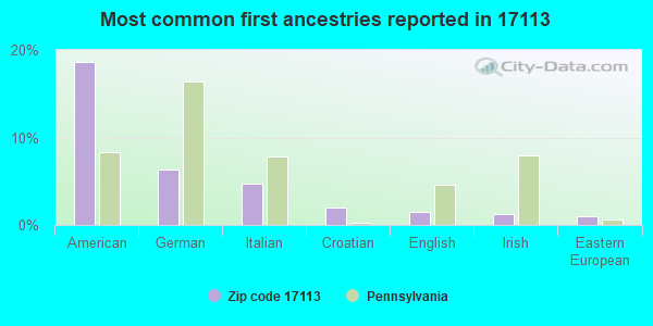 Most common first ancestries reported in 17113