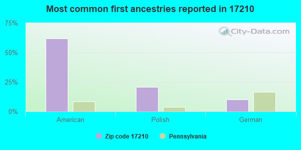 Most common first ancestries reported in 17210