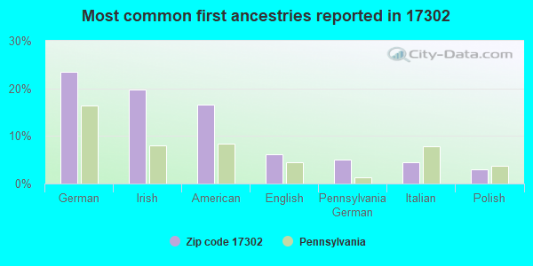 Most common first ancestries reported in 17302