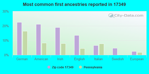 Most common first ancestries reported in 17349
