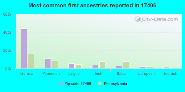 Most common first ancestries reported in 17406