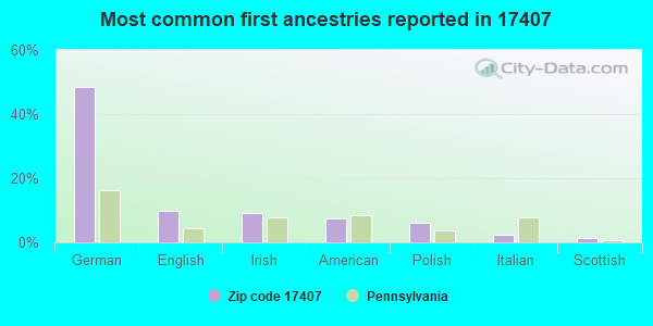 Most common first ancestries reported in 17407