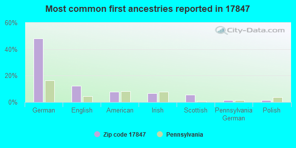 Most common first ancestries reported in 17847