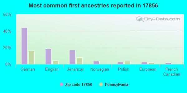 Most common first ancestries reported in 17856